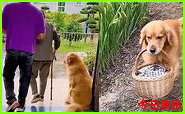 管家一码一肖一码